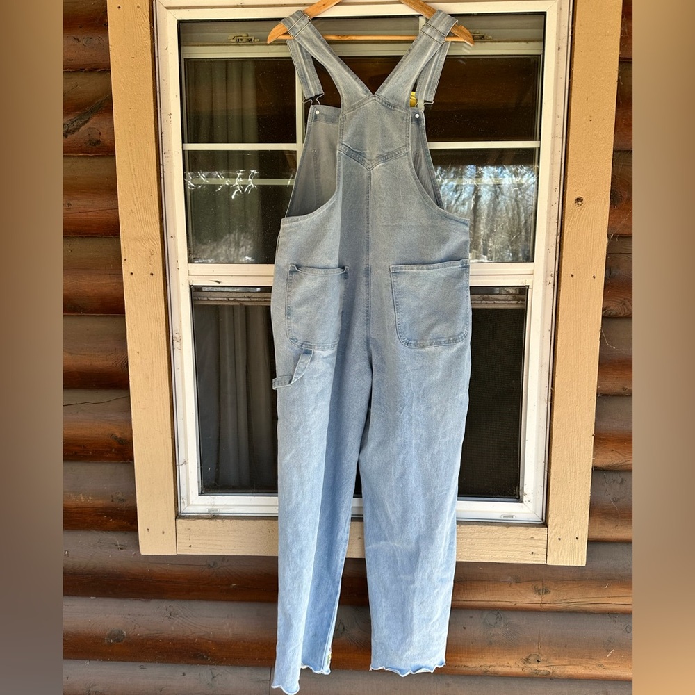 Light Blue Embroidered Denim Overalls - Picture 3 of 6